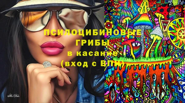 МДПВ Арсеньев
