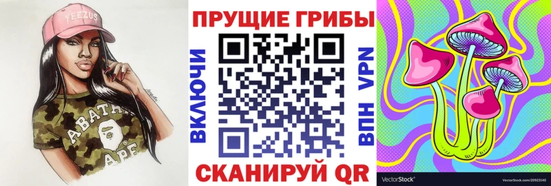магазин продажи наркотиков  Волгодонск  Галлюциногенные грибы прущие грибы 